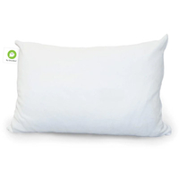View the GhostPillow Faux Down Pillow from $109/Sale $71 at GhostBed