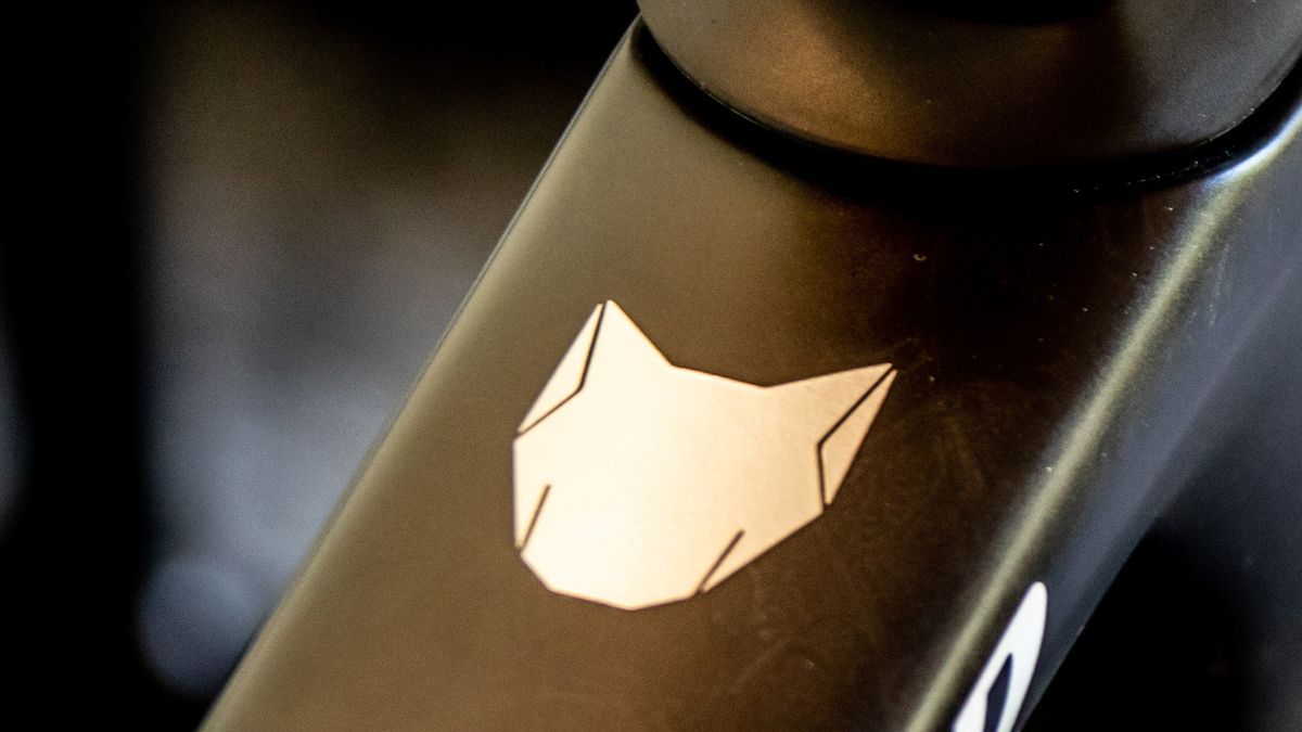 Julian Alaphilippe's Specialized Tarmac SL7