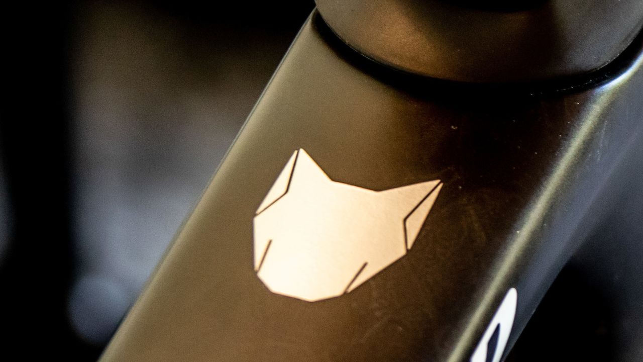 Julian Alaphilippe's Specialized Tarmac SL7