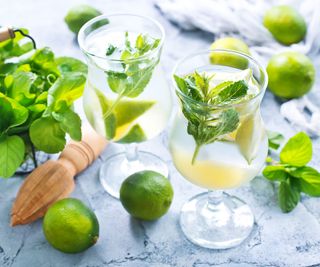 mint and lime in cocktail drinks