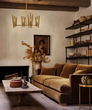 A neutral living room with a coffee-colored sofa, a wooden coffee table, and a set of black bookshelves on the wall