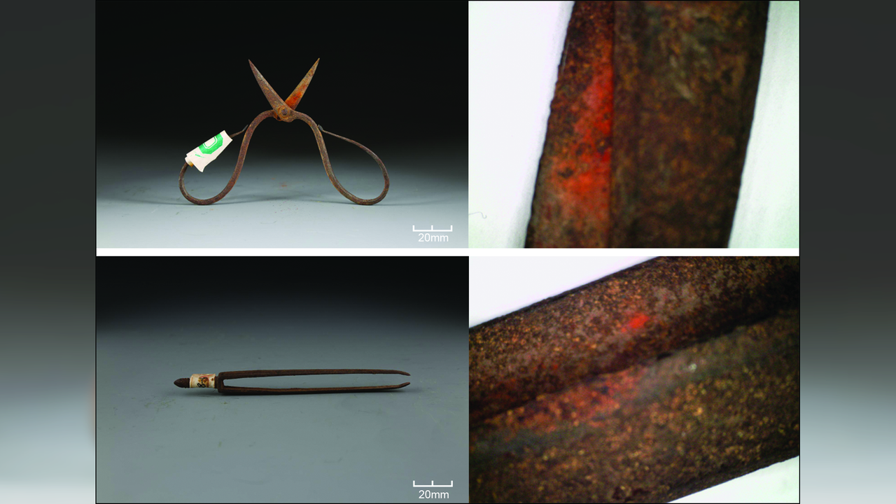 Toxic plant on Ming dynasty-era surgical tools may be world’s oldest chemical evidence of topical anesthetic