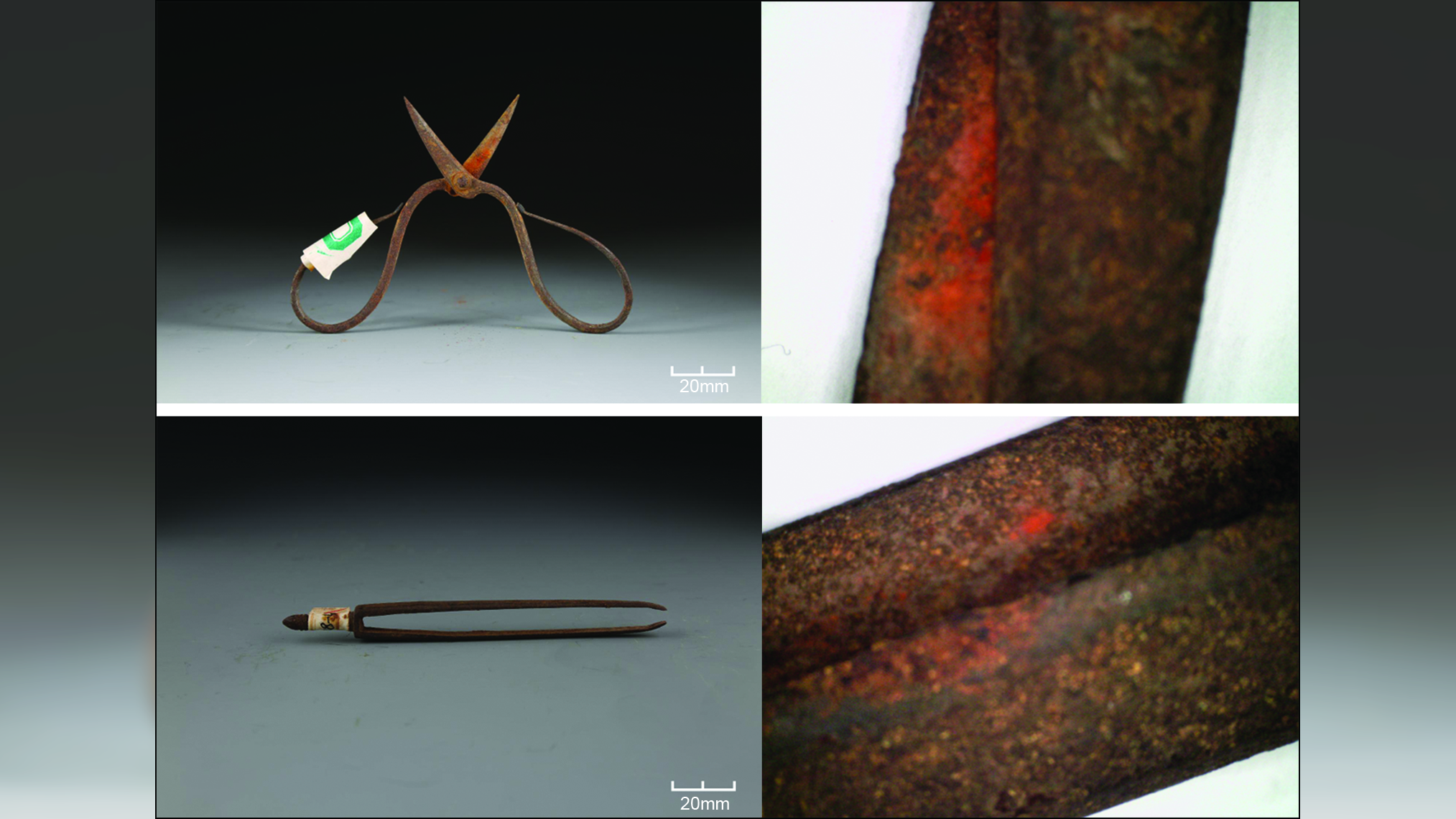 two iron surgical tools (scissors and tweezers) from 600 years ago