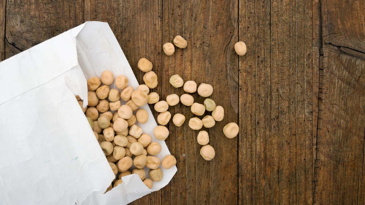 Seeds pouring out of a paper envelope on a wooden background