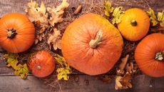 Five pumpkins with fall foliage on a wooden table