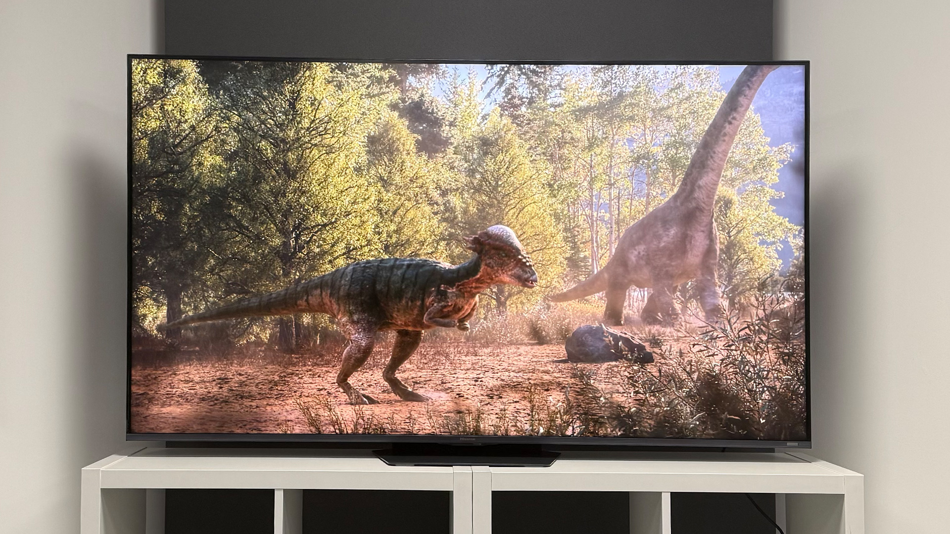 The 65-inch Hisense UR9 RGB Mini LED TV, photographed on a white, wooden unit. On the screen is a still from Netflix documentary, The Dinosaurs.
