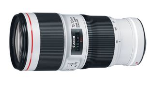 Best 70-200mm lens: Canon EF 70-200mm f/4L IS II USM