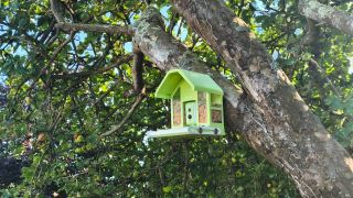 Birdfy Feeder Metal