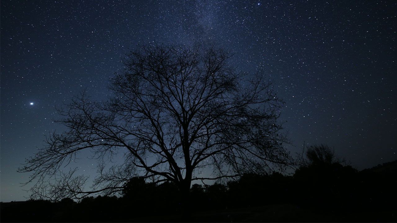 Manfrotto BeFree Advanced Travel Tripod review: Image shows night photography