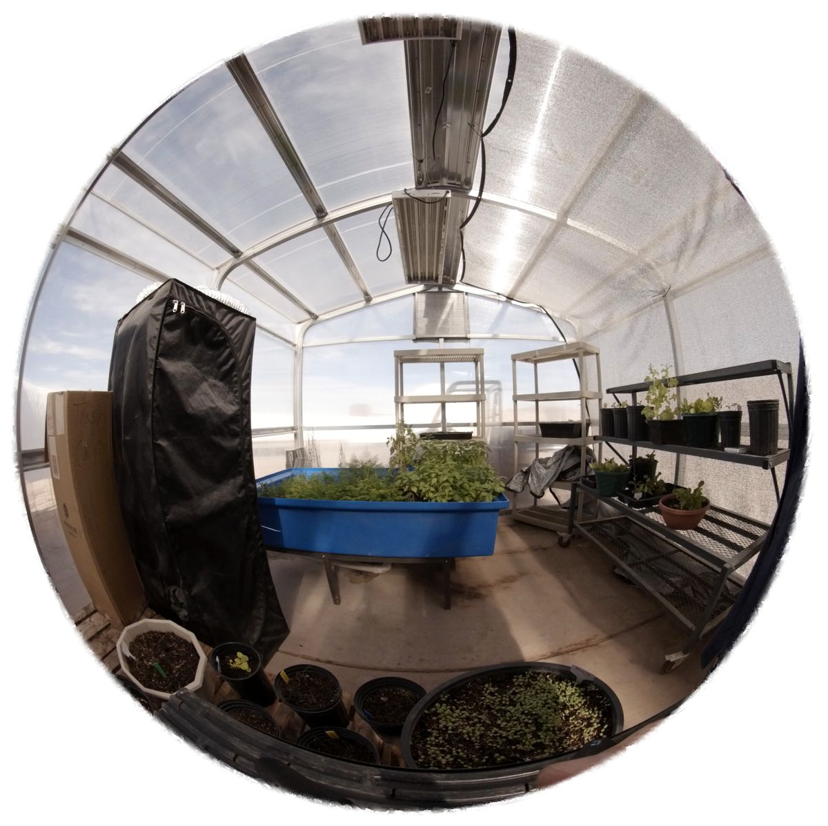 View of the Mars Desert Research Station greenhouse, or GreenHab.