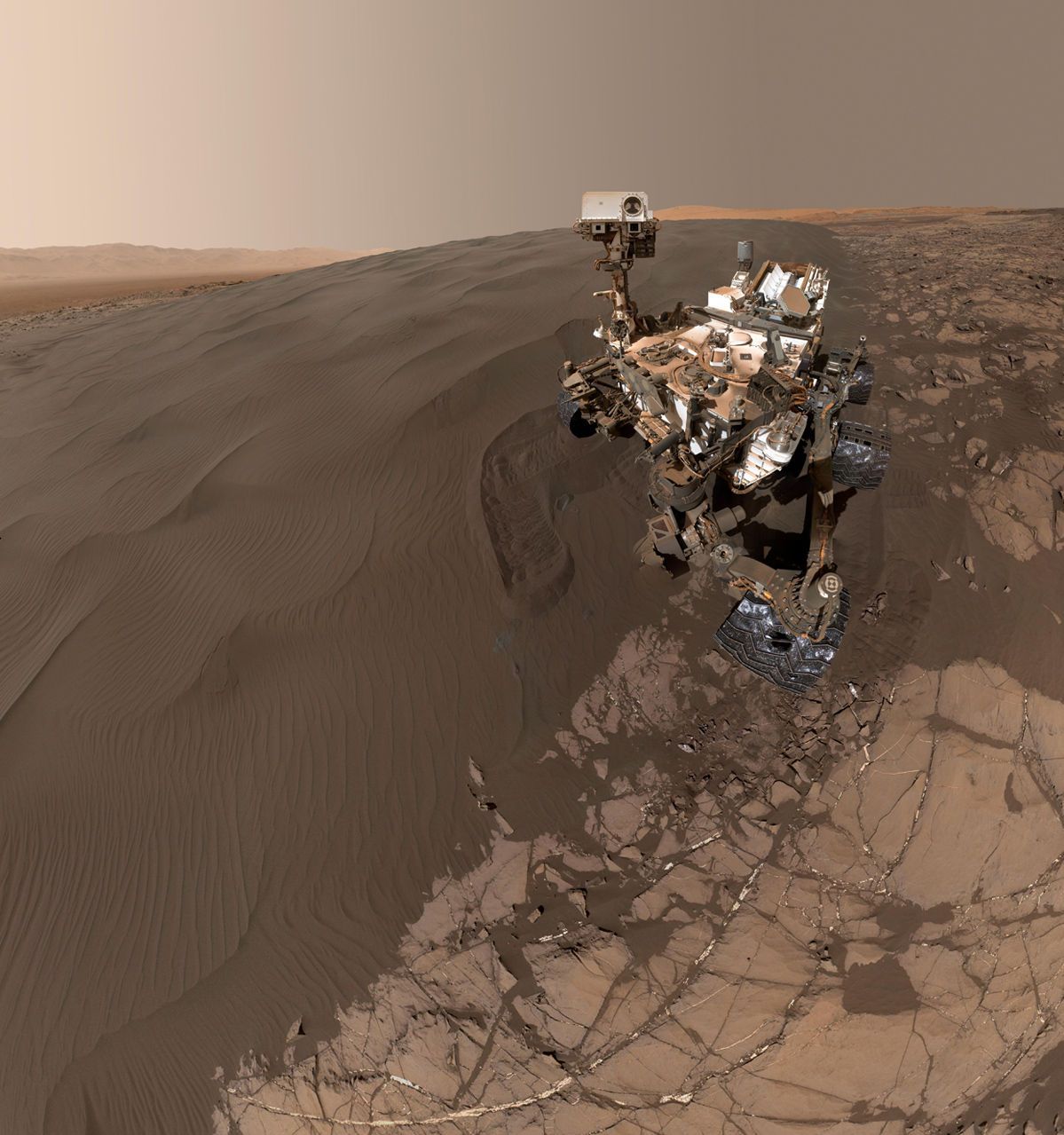 Curiosity selfie