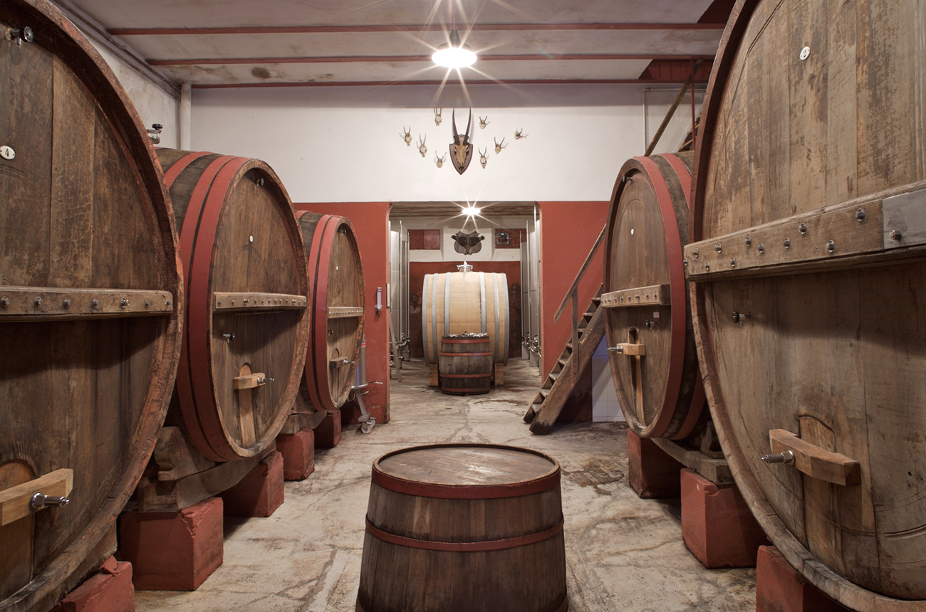 Villa Bucci cellar