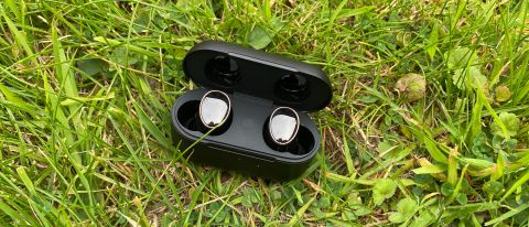 1More Evo earbuds in their case, on grass 