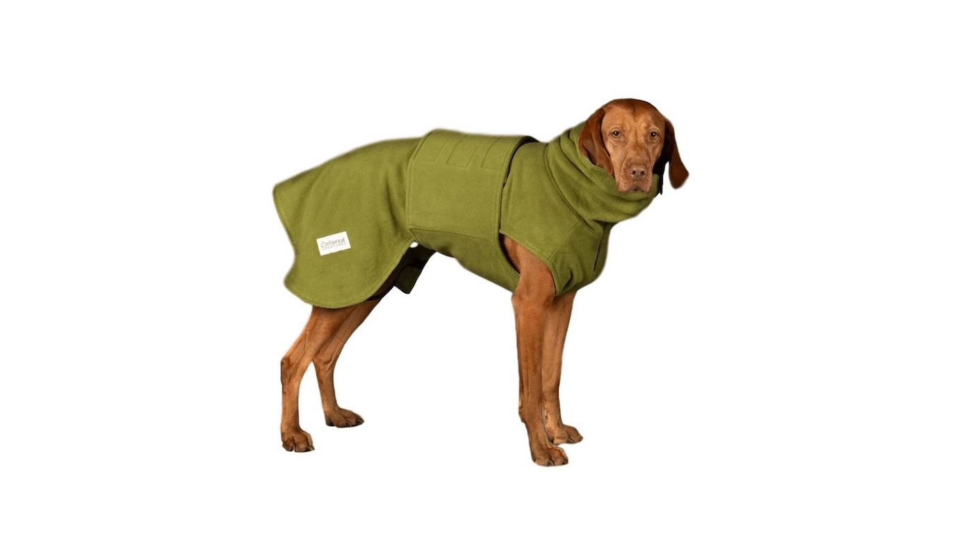 Collared Creatures Dog Drying coat