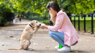 Dog biting woman's hand playfully in the park