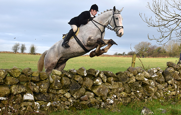 There is no fear of touching this Co Galway wall for point-to-point jockey William McMahon
