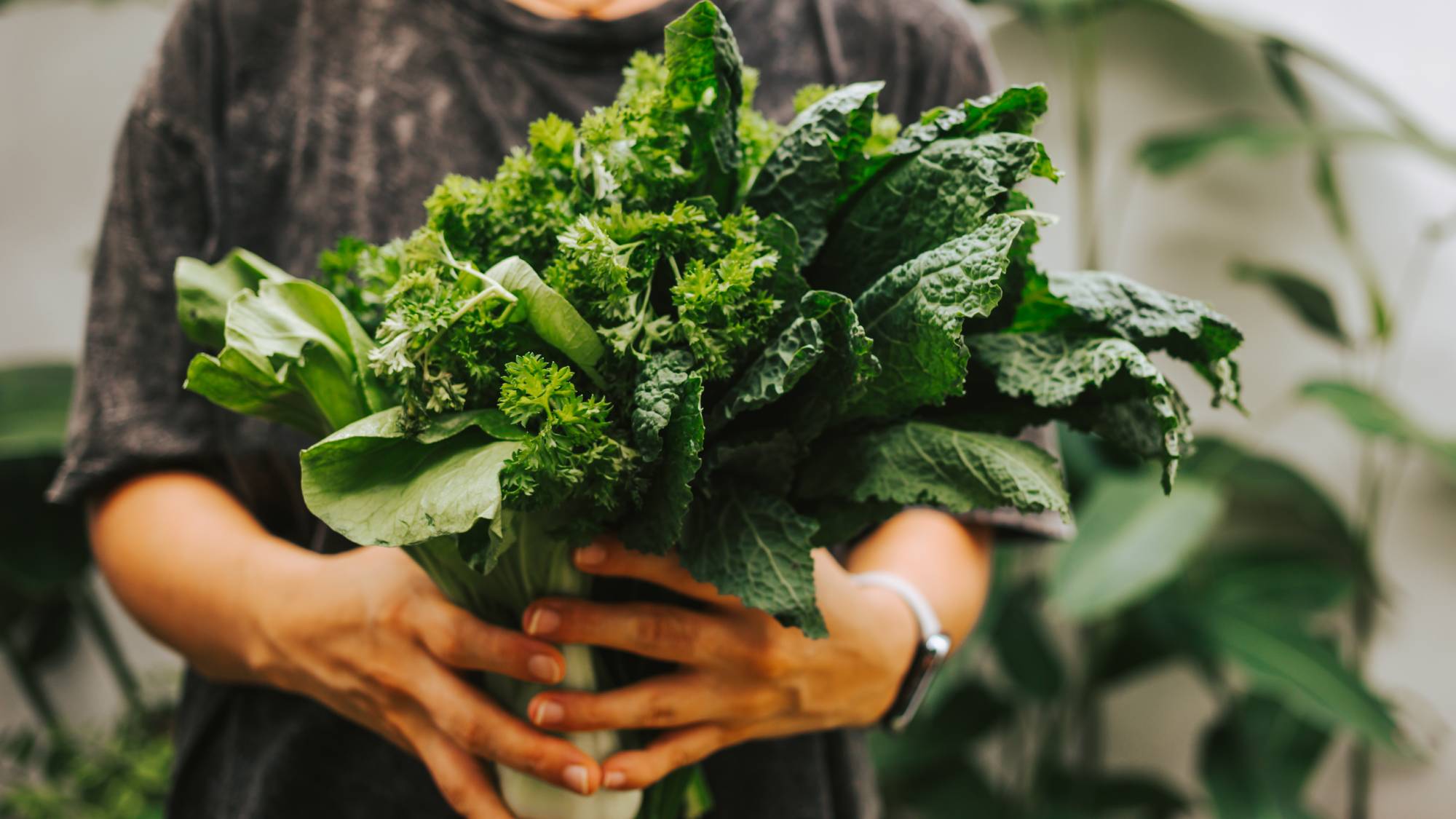 A woman's hands holding kale, parsley, and bok choy