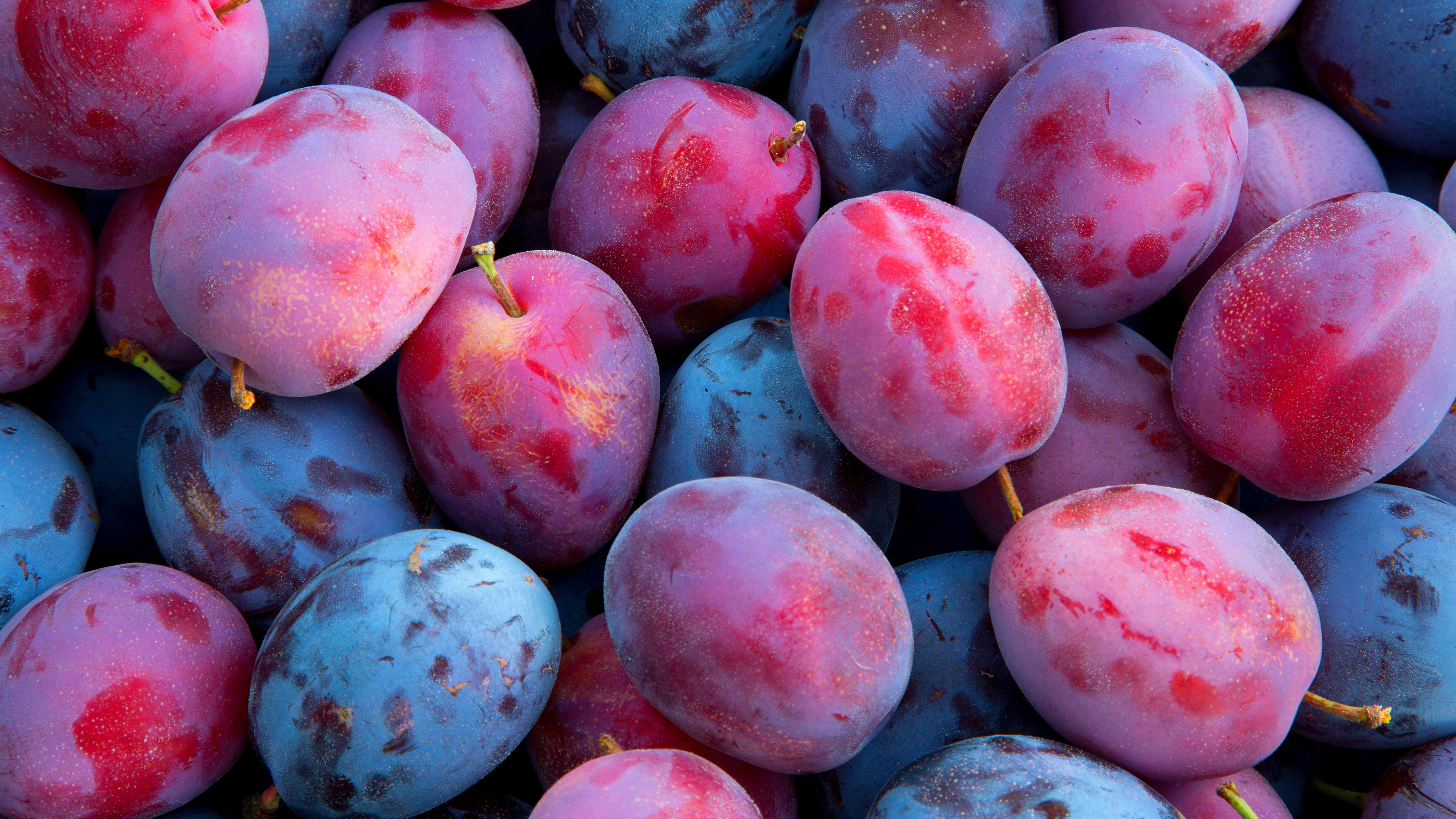 How to grow plums:Fruit That Starts With P