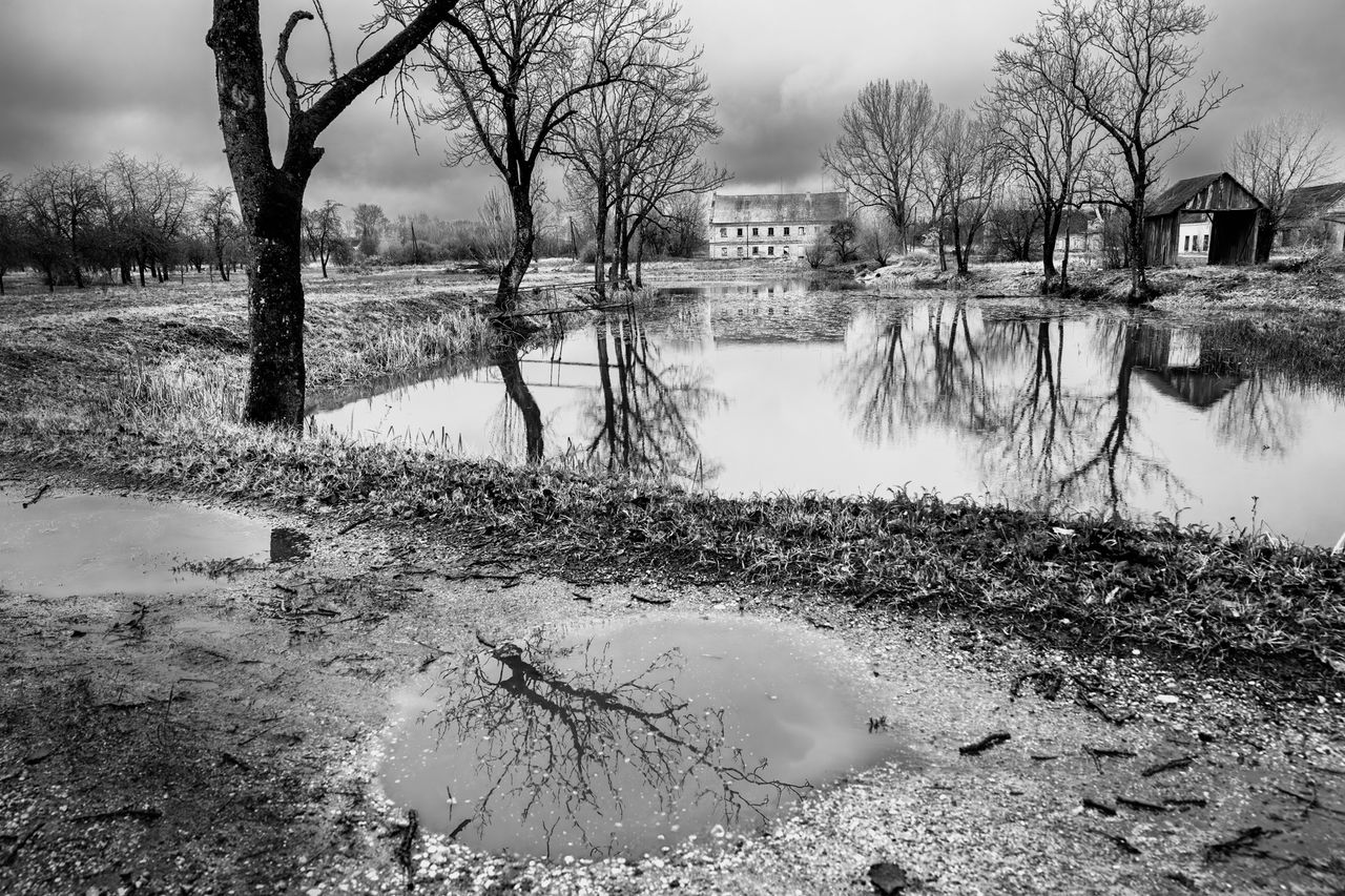 GuruShots - Monochrome Moments Jan 26