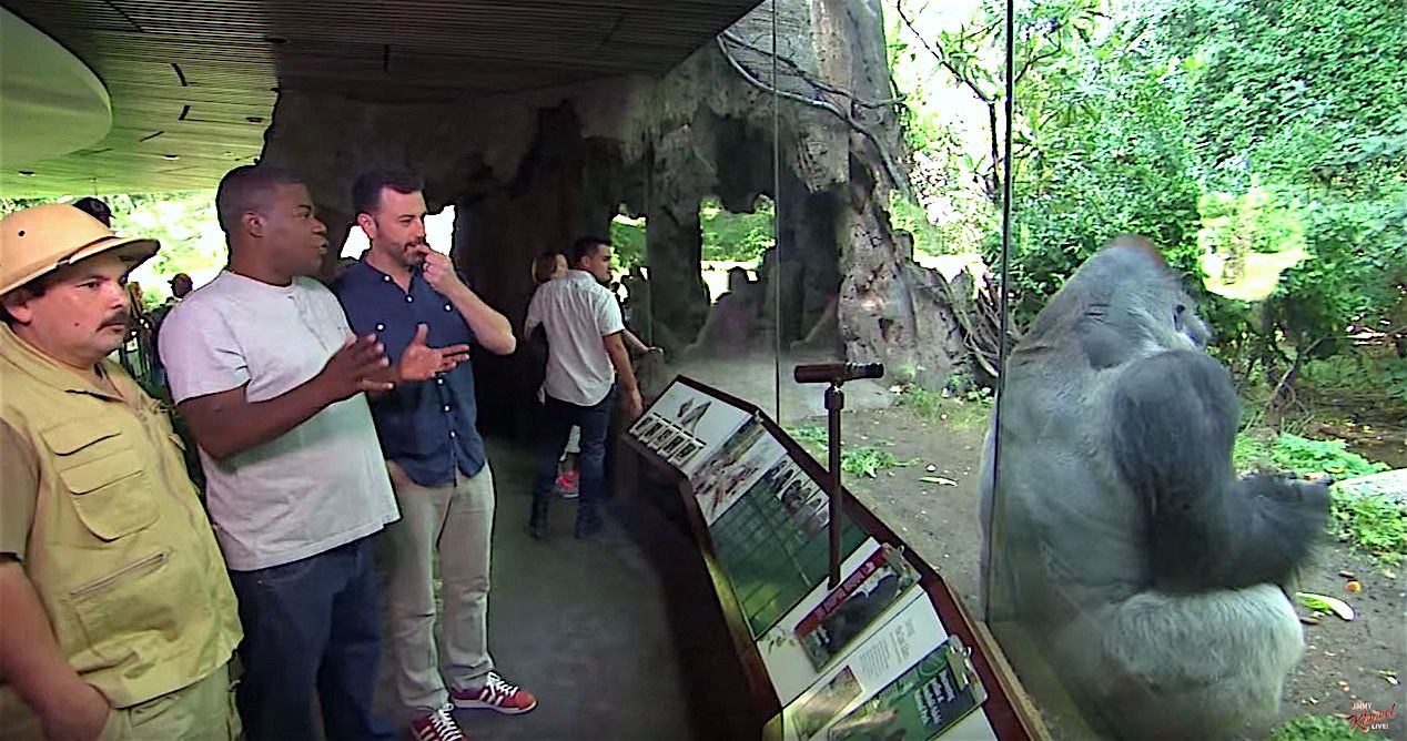 Tracy Morgan takes Jimmy Kimmel and Guillermo on a tour of &amp;quot;his&amp;quot; Bronx Zoo