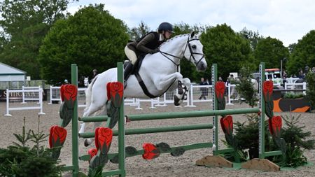 Isabella Stanley and Moorland Whiteriver jump to victory in the 2026 Windsor WHP championship