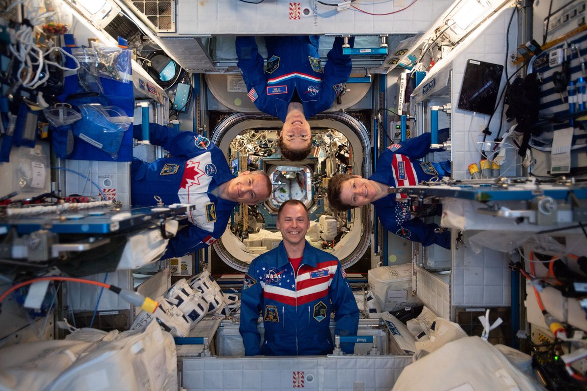 Expedition 59 astronauts snap a playful portrait in weightlessness aboard the International Space Station in this photo in the station&#039;s Harmony module taken on April 30, 2019. Seen here are: (Clockwise from top) NASA astronauts Anne McClain, Christina Koch, Nick Hague and Canadian Space Agency astronaut David Saint-Jacques