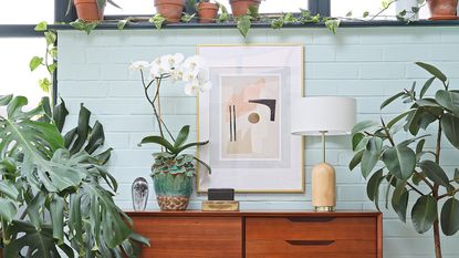 White room with yellow dresser, pink orchid, basket storage and plant