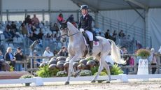 Oliver Townend and Ballaghmor Class at Pau Horse Trials dressage 2025
