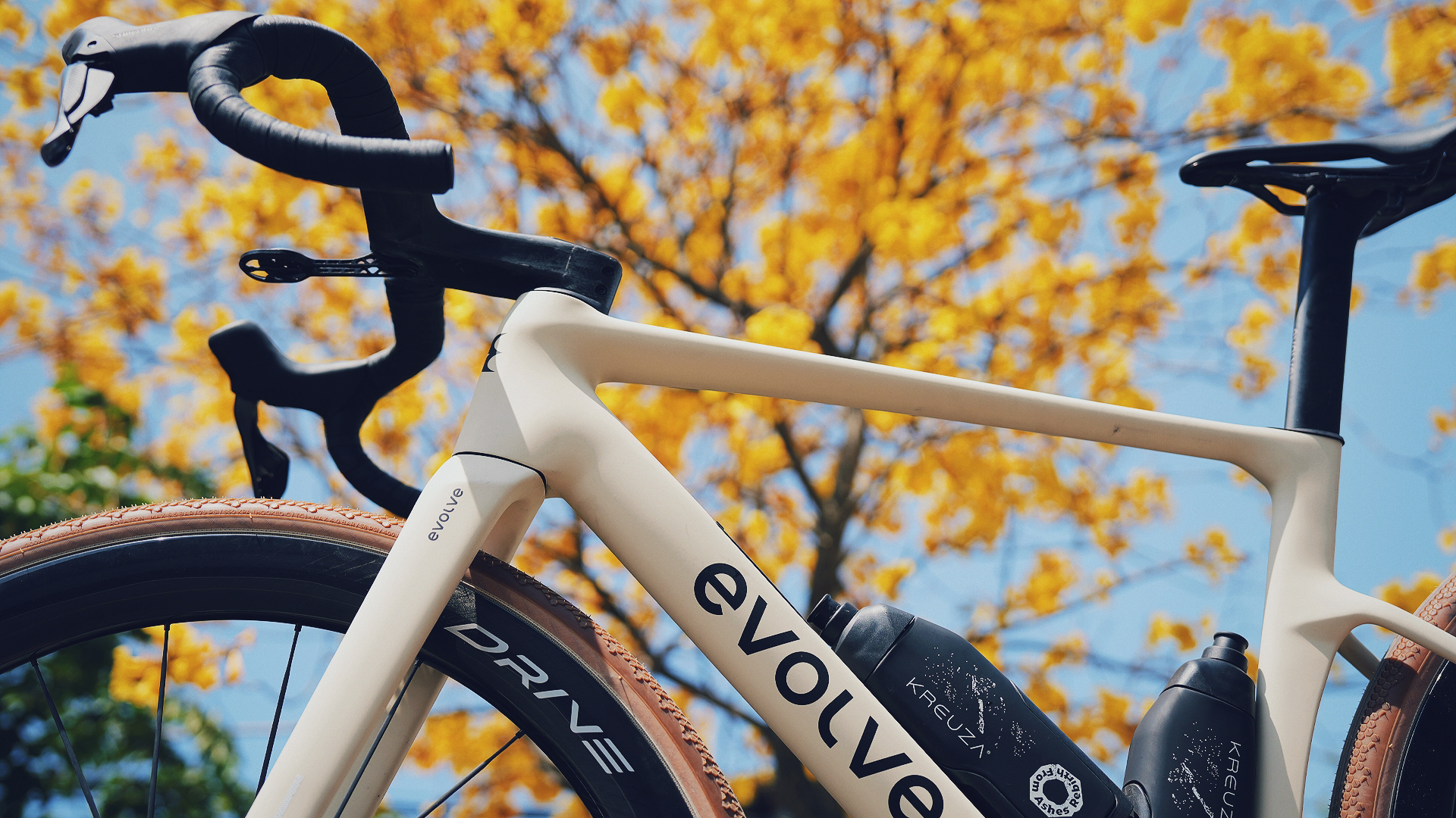Evolve bikes