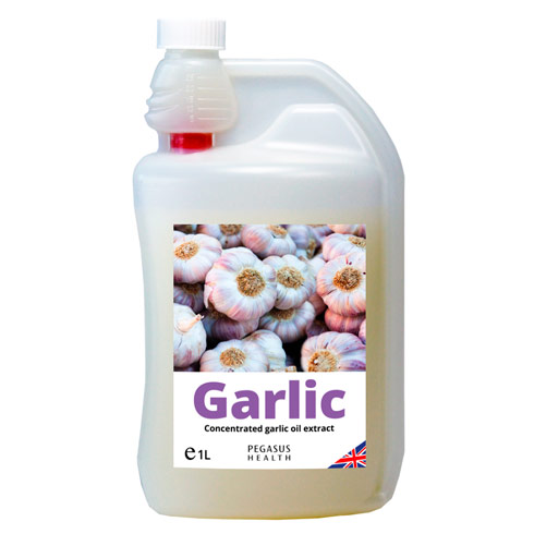 Pegasus-Garlic