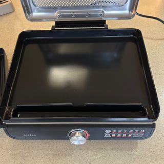 Testing the Ninja Sizzle flat plate at home