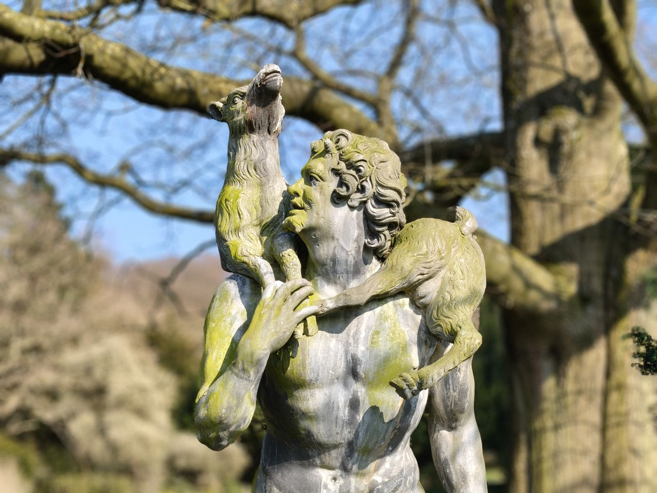 A stone statue in front of a tree