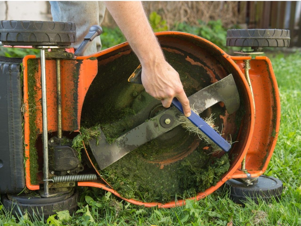 Person Cleaning A Lawn Mower