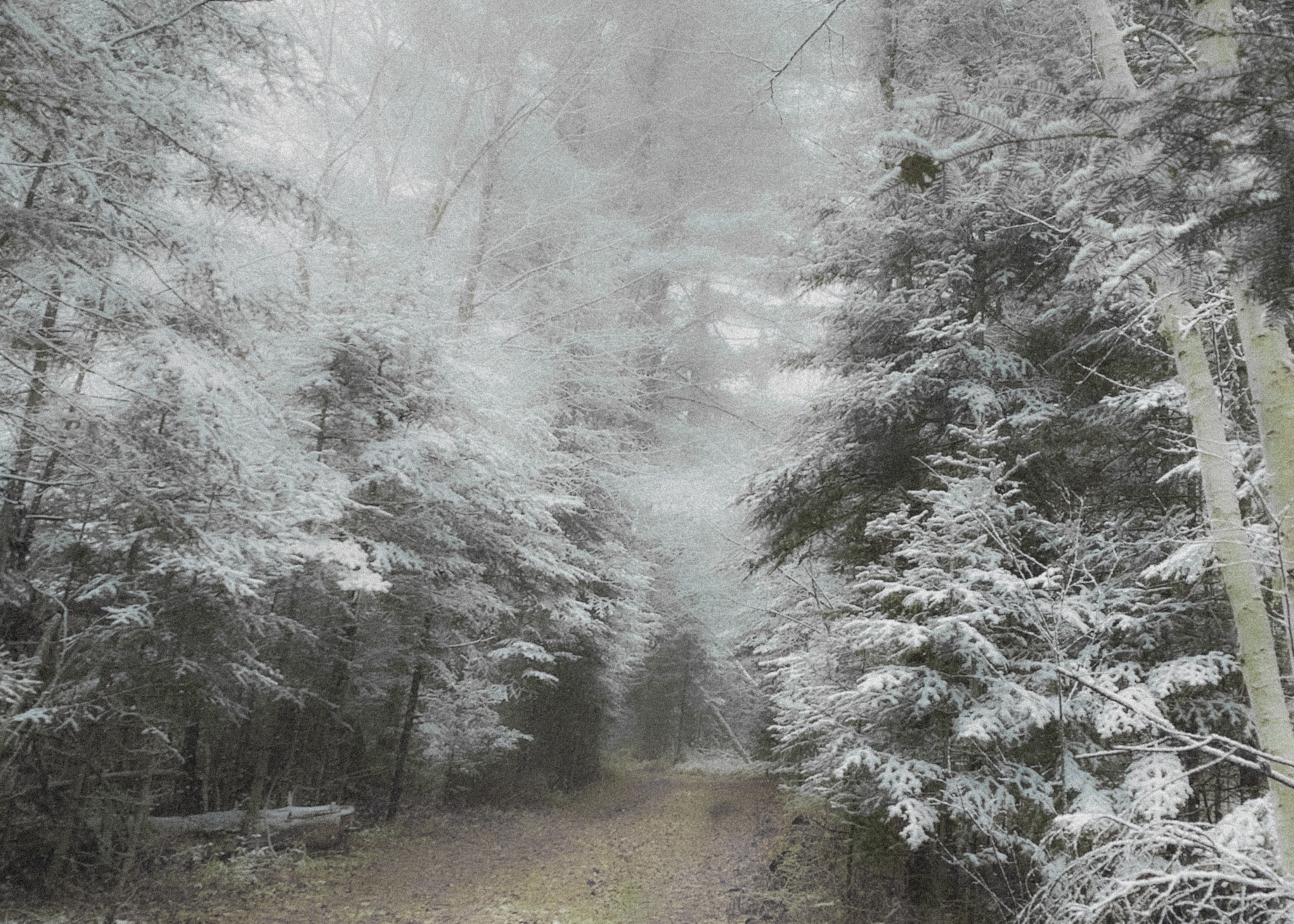 GuruShots - February 2026