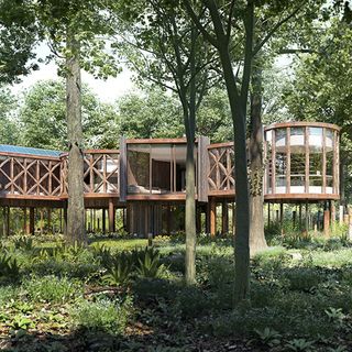 tree house with wooden exterior and trees are around