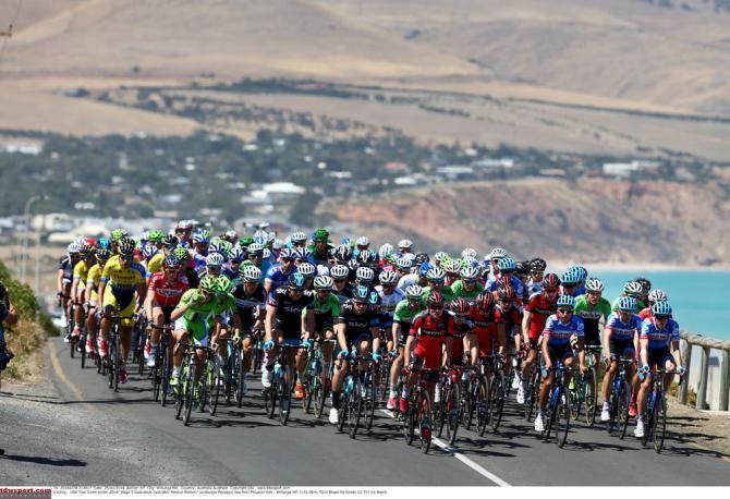 The peloton on stage 5 of the Santos Tour Down Under