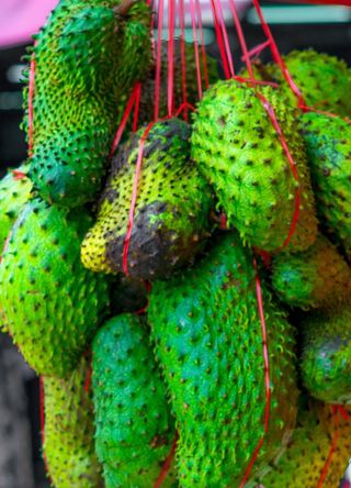 Soursop