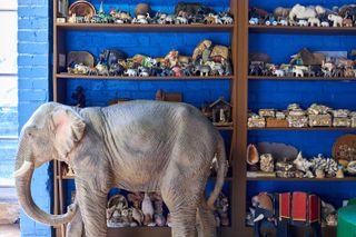 Inside Peter Blake's Chiswick London studio featuring animal figurines