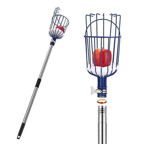 Oak Leaf Fruit Picker, 13 Ft Picker Pole With Basket, Length Adjustable Apple Orange Picker Tool Tree Fruit Catcher With Lightweight Stainless Steel Connecting Pole, Foam Pad, 2 Metal Clamp(upgraded)