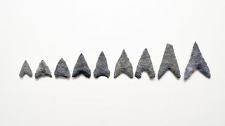 A collection of stone arrowheads found in ancient Jomon settlements.
