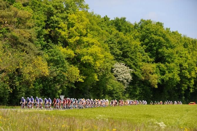 The peloton
