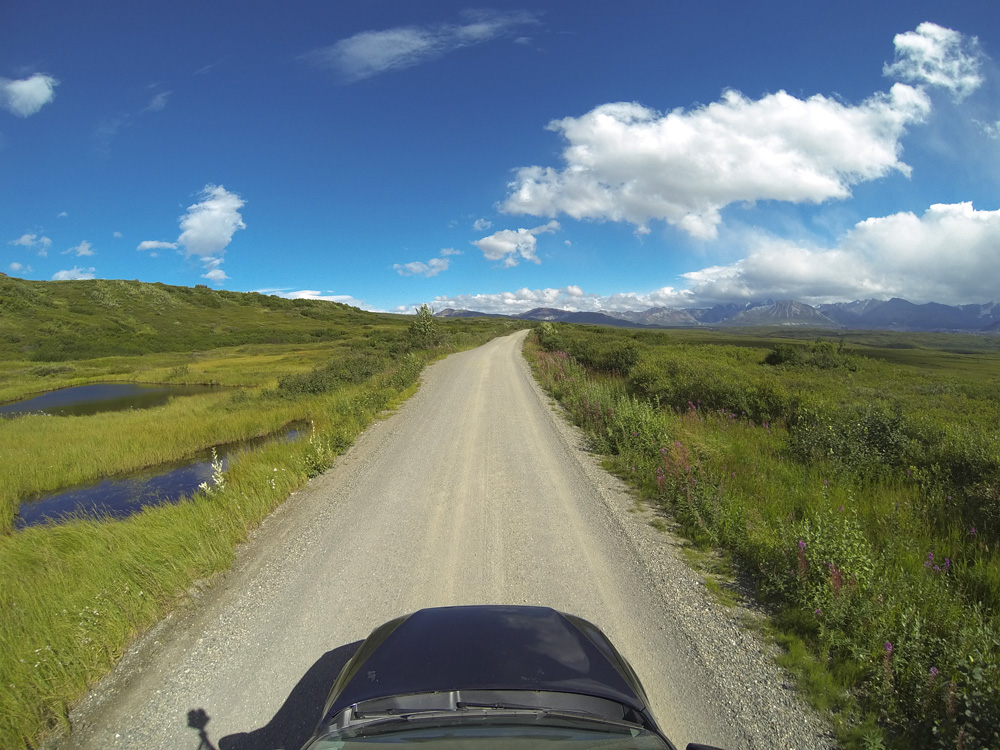 Denali park view
