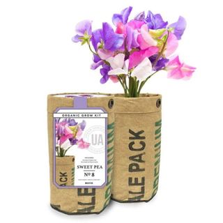 Nature Hills sweet pea grow kit