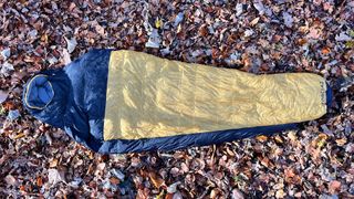 A Forclaz Trekking Sleeping Bag MT900 5°C Down laid out on a leafy woodland floor.