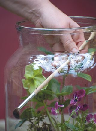 Step six of how to make a terrarium: clean the sides