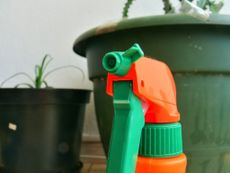 Spray Bottle Infront Of Potted Plants