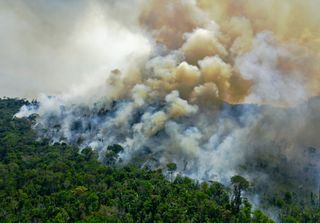 A burning area of Amazon rainforest reserve south of Novo Progresso in Para state