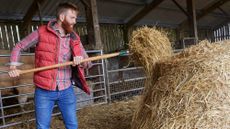 Man wearing gilet moving straw in a barn