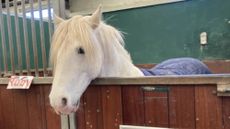 RDA-Unicorn-Centre.jpg