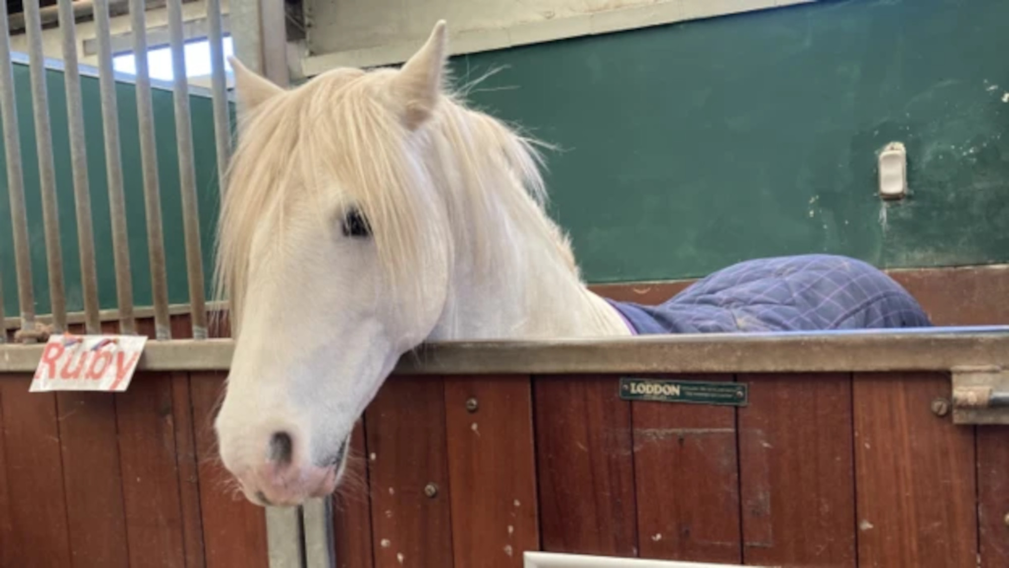 RDA-Unicorn-Centre.jpg